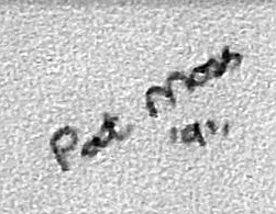 XOE's Pat Moss signature.jpg