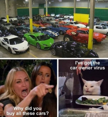 Carowner.jpg